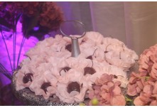 Niver 15 Anos Maria Clara Leonel