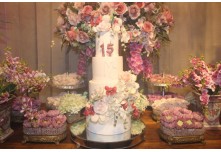 Niver 15 Anos Maria Clara Leonel