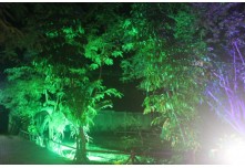 Niver 15 Anos Maria Clara Leonel