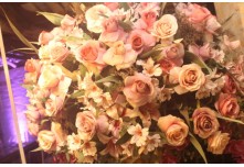 Niver 15 Anos Maria Clara Leonel