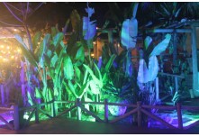 Niver 15 Anos Maria Clara Leonel