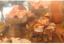 Casamento Mariangela e Hernandes