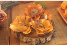 Casamento Mariangela e Hernandes