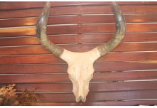 Casamento Mariangela e Hernandes