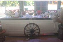 Casamento Mariangela e Hernandes