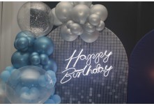 Niver 15 Anos Ana Clara Delgado