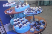 Niver 15 Anos Ana Clara Delgado