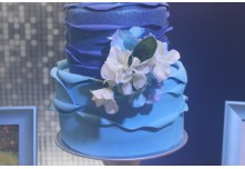 Niver 15 Anos Ana Clara Delgado