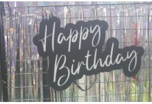 Niver 15 Anos Mariana Cintra