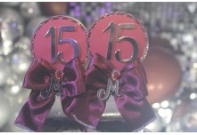 Niver 15 Anos Mariana Cintra