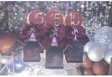 Niver 15 Anos Mariana Cintra