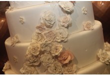 Niver 15 Anos Lara Lindicy