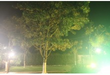 Niver 15 Anos Lara Lindicy