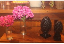 Niver 15 Anos Lara Lindicy