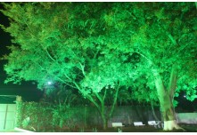 Niver 15 Anos Lara Lindicy