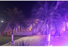 Niver 15 Anos Lara Lindicy