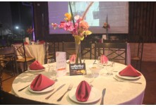 Niver 15 Anos Lara Lindicy