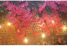 Niver 15 Anos Maria Laura Dutra