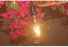 Niver 15 Anos Maria Laura Dutra