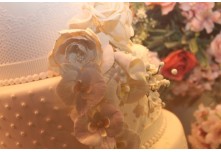 Niver 15 Anos Maria Laura Dutra