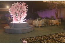 Niver 15 Anos Maria Laura Dutra