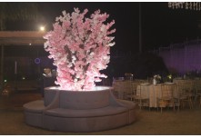 Niver 15 Anos Maria Laura Dutra