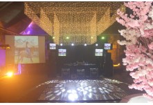 Niver 15 Anos Maria Laura Dutra