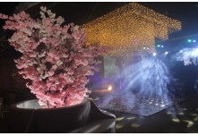 Niver 15 Anos Maria Laura Dutra