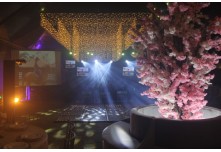 Niver 15 Anos Maria Laura Dutra