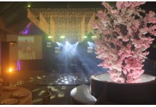 Niver 15 Anos Maria Laura Dutra