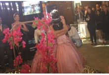 Niver 15 Anos Maria Laura Dutra