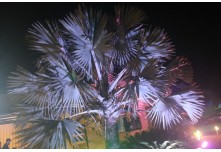 Niver 15 Anos Maria Laura Dutra