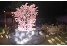 Niver 15 Anos Maria Laura Dutra