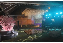 Niver 15 Anos Maria Laura Dutra