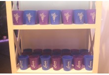 Niver 15 Anos Laura Moris 