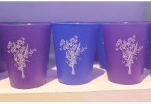 Niver 15 Anos Laura Moris 