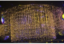 Niver 15 Anos Laura Moris 