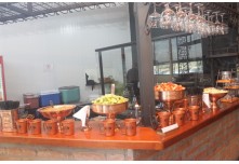 Casamento Carol e Telmo