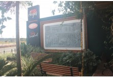 Casamento Carol e Telmo