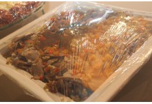 Casamento Carol e Telmo