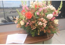 Casamento Carol e Telmo