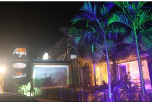 Casamento Carol e Telmo