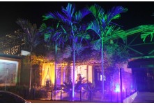 Casamento Carol e Telmo