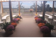 Casamento Carol e Telmo