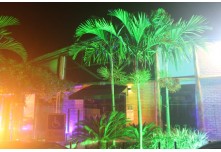 Casamento Carol e Telmo