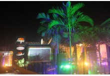 Casamento Carol e Telmo