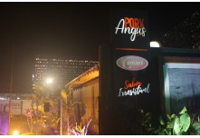 Casamento Carol e Telmo