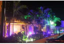 Casamento Carol e Telmo