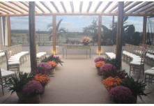 Casamento Carol e Telmo