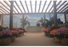 Casamento Carol e Telmo